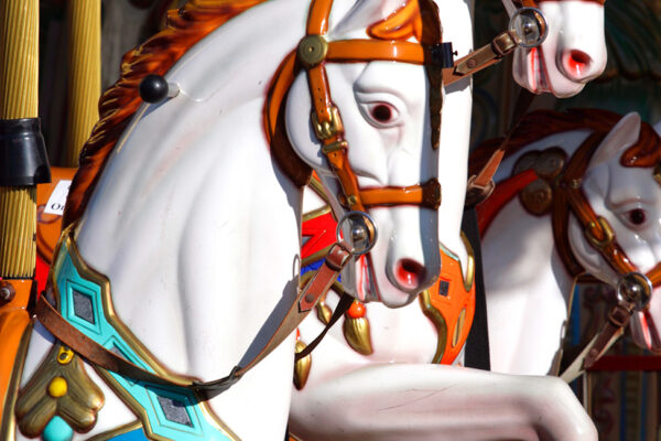 carousel horses up close